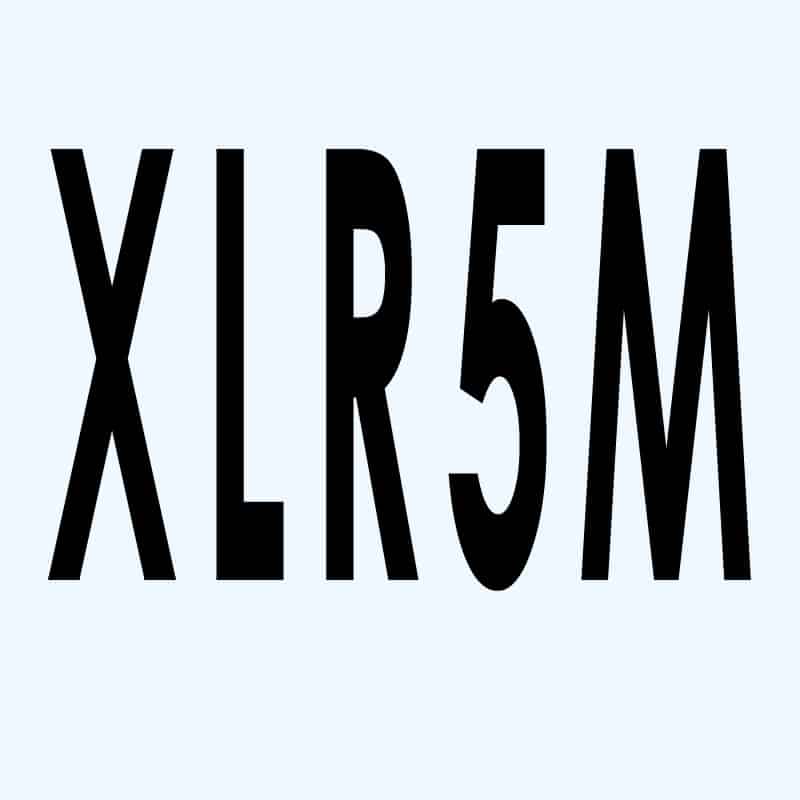 XLR male 5 pol