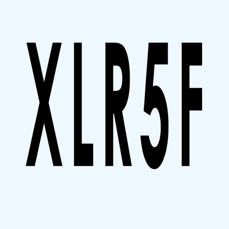 XLR female 5 pol
